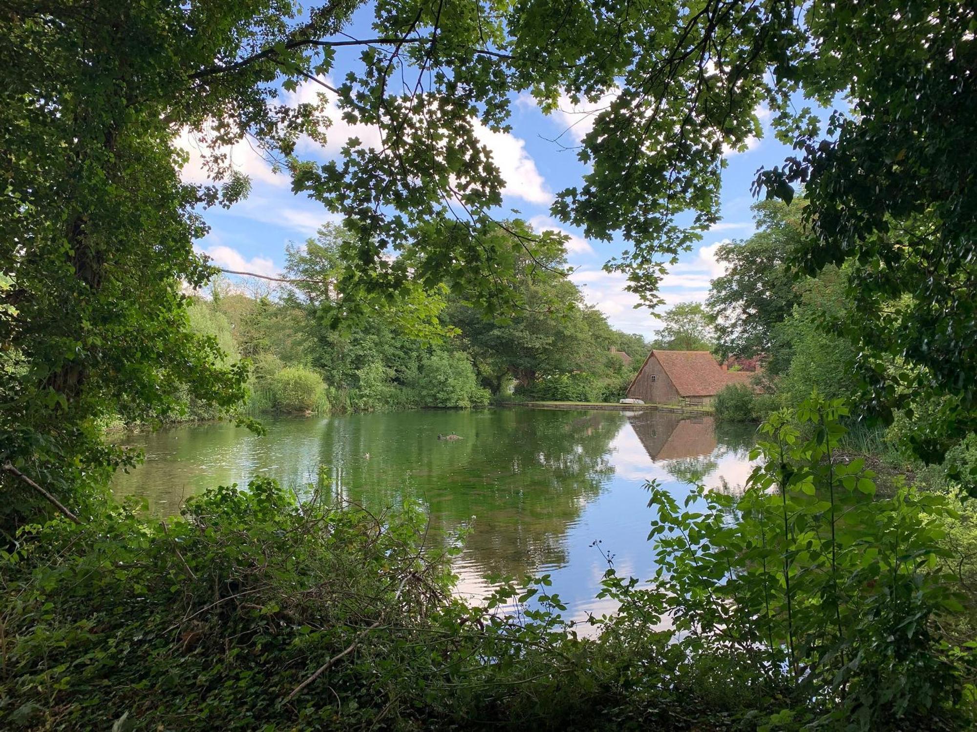 Moorhen Cottage Hollingbourne 外观 照片